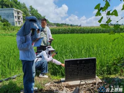来凤县率先完成第四次全国文物普查田野调查工作