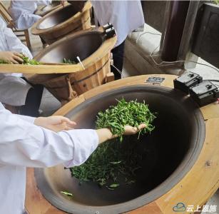 鹤峰：手工制茶为茶香 传承指尖“真功夫”