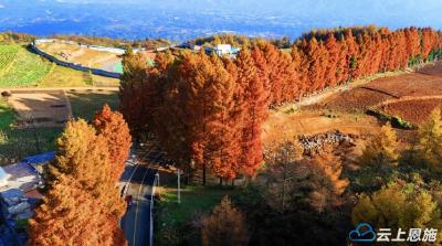 恩施利川齐岳山铺“十里红妆”，只为等你