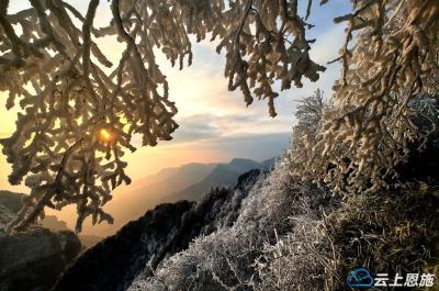 组图｜恩施建始：高岩子雾凇盛景，如诗如画冬韵浓