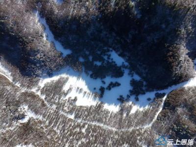 组图｜恩施醉美大山之巅——雪域中的朝天笋