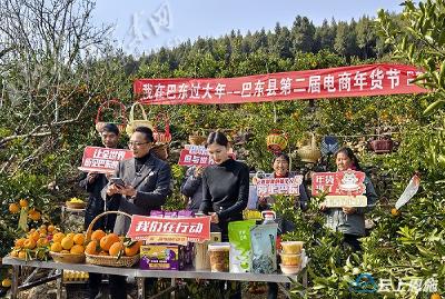 年货“云上”购  恩施巴东举行第二届电商年货节