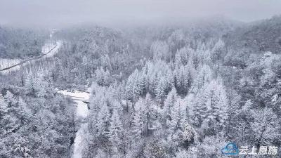 恩施鹤峰：春日高山林海的冰雪绮梦