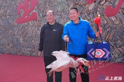 赏春景 沐春风 巴东举办“登春山”群众文体活动