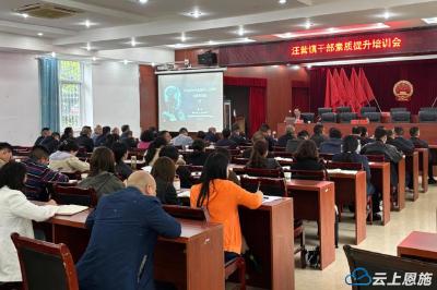 干部素质提升年 | 解锁数智时代干部治理新思维——湖北大学人工智能学院赴利川汪营开讲