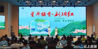 签约3.6亿元！“星斗摇香·利川红”2025茶乡寻亲会举行