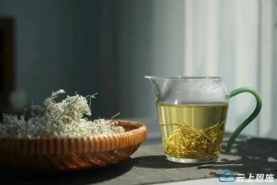 恩施：夏日炎炎，从一杯来凤藤茶开始！