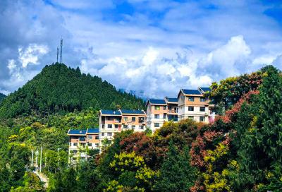 恩施巴东：栾树映秋 山城入画