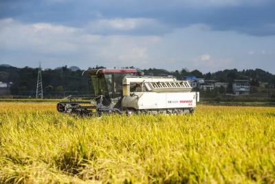 “双节”利川图鉴：中秋月与国庆红，从田间金浪到夜市霓虹，每帧都是生机！