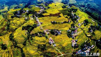 组图丨恩施利川：秋光绘就“丰景线”