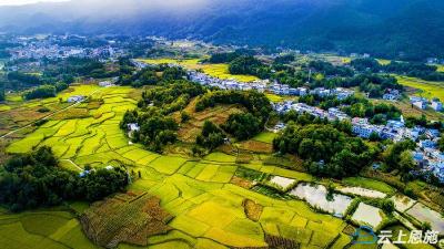 大地视角下的丰收利川