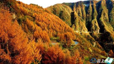 恩施宣恩：层林尽染景色美