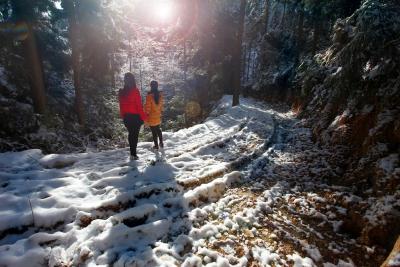 组图 | 恩施利川：琼花玉树满甘溪