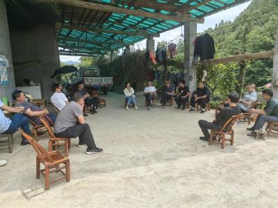 恩施建始：烟田遇险寻新途 甘蓝助农稳增收