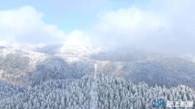 恩施咸丰：藏在鄂西的林海秘境