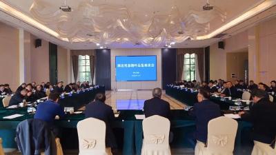 2025年湖北雪茄烟叶品鉴座谈会在恩施来凤召开