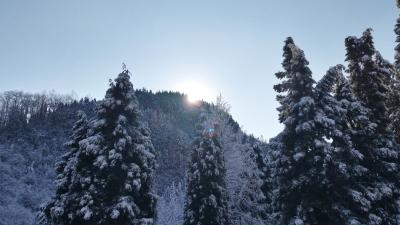 湖北恩施：雪后初霁 鄂西林海换银装