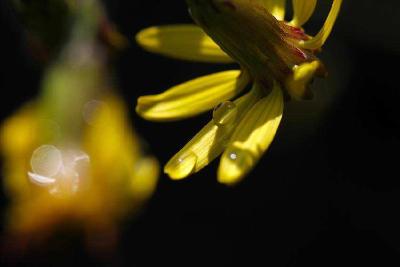 ​恩施利川：冻土下的利川春