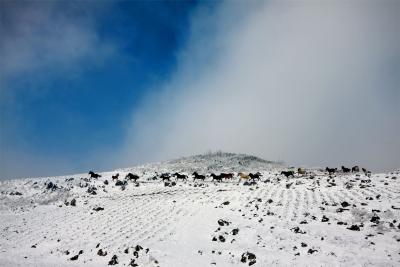 恩施利川：马踏瑞雪迎马年