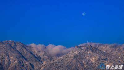 鹤峰走马：晓日映茶山