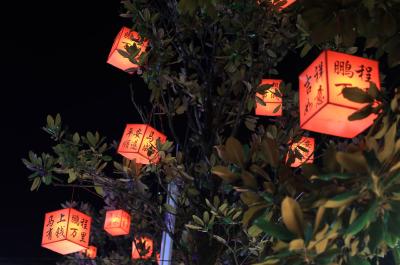 图集丨恩施咸丰：璀璨灯火迎马年