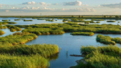 湖北启动国家湿地公园评估试点 评为Ⅳ级约谈当地政府主要负责人
