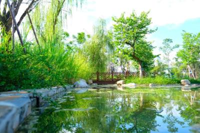 大力打造“湿地花城” 武汉5年将建80个湿地公园