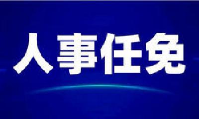 秦刚任外交部部长，王晓萍任人社部部长 附简历