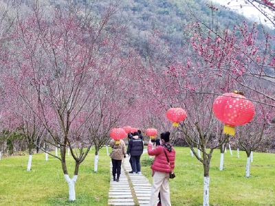 十堰文旅市场春节“堰味”浓：你在武当观风景，我在西关赏烟花