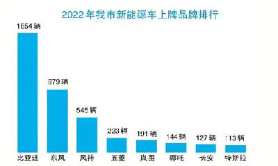 十堰去年新能源车上牌5162辆 平均3辆中就有一辆比亚迪