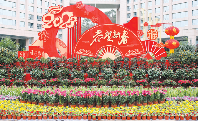 花团锦簇 喜迎新春 
