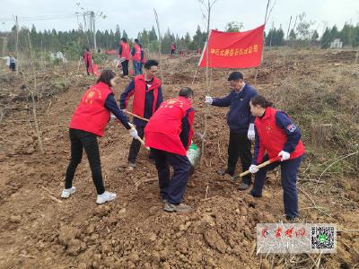 中石化十堰房县分公司：践行绿色企业担当 积极开展义务植树