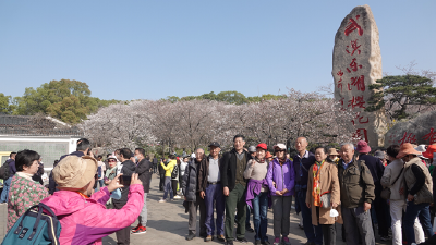 一季度十堰旅游市场强势复苏 游客接待量同比增长超25%