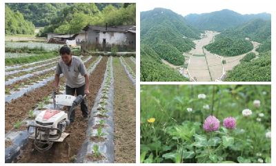 行走十堰 | 竹山县柳林乡墨池村干溪坪 高山盆地中藏着千亩“秘境”