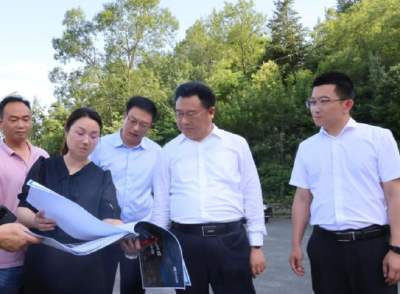 深化实践活动 推动共同缔造 |张涛调研乡村振兴和共同缔造工作