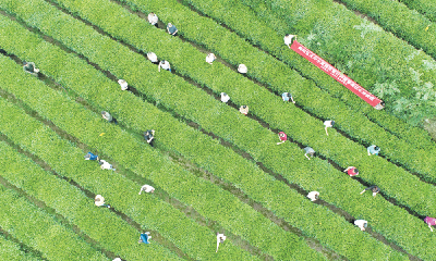 郧阳区：移民培训在田间