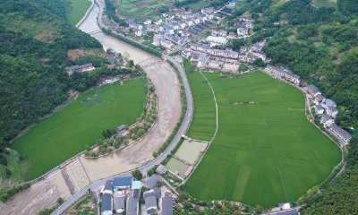 山水车城 宜居十堰 | 稻田千层浪 乡村好风景