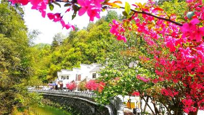 十堰三地入选2023湖北旅游名村、旅游名街