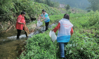 汇聚“小水滴” 守好幸福河 ——丹江口市全域开展守水护水志愿服务活动纪略