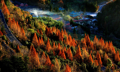 武当山：秋日暖阳胜春光 邂逅惬意“漫”生活