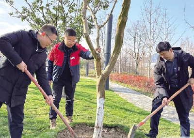 北京市第八批赴十堰挂职干部团队共植“情谊树”