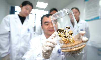 镜像 | 汉江师范学院生物标本馆：让时间静止 让生物“重生”