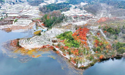 雪后乡村 绚丽画卷