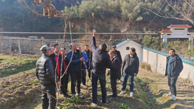 送技到田间 为民办实事