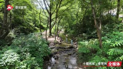 炎夏来袭，十堰周边山涧成避暑纳凉胜地
