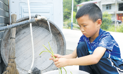 小小“男子汉”撑起一个家