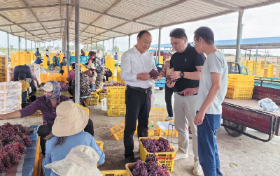 订单直采 助力“疆品入堰”