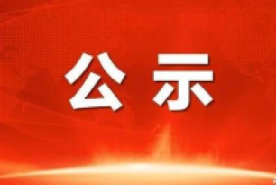关于十堰市首届荣誉市民拟授人选名单的公示
