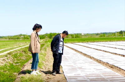 一对种粮父女兵的“禾归”路