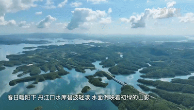 新华社客户端：春日暖阳！丹江口一泓碧水映春光